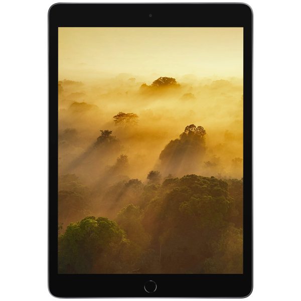 تبلت ۱۰.۲ اینچ اپل مدل iPad (9th Generation) 10.2-Inch Wi-Fi 2021 ظرفیت 256 گیگابایت